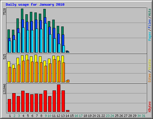 Daily usage for January 2010