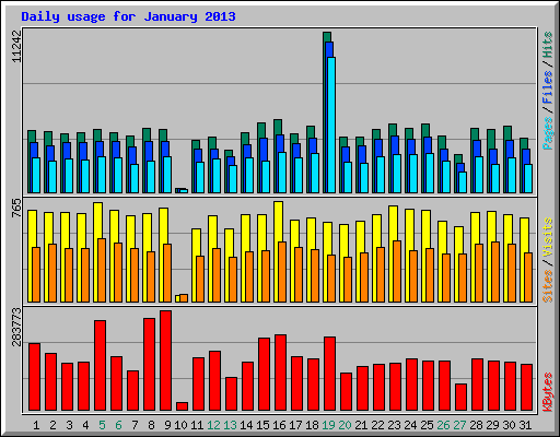 Daily usage for January 2013