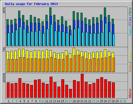 Daily usage for February 2013