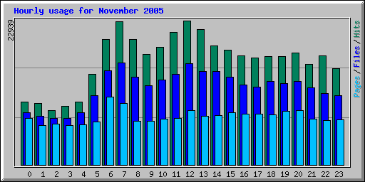 Hourly usage for November 2005