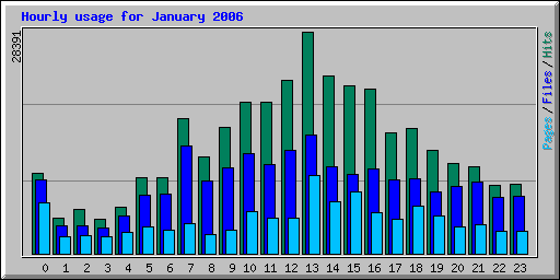 Hourly usage for January 2006