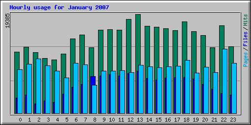 Hourly usage for January 2007