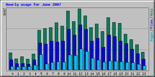 Hourly usage for June 2007