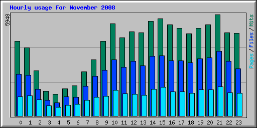 Hourly usage for November 2008
