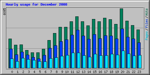 Hourly usage for December 2008