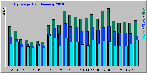 Hourly usage for January 2010