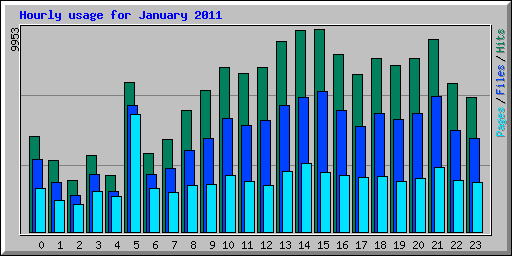 Hourly usage for January 2011