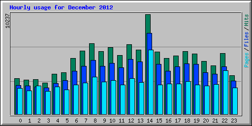 Hourly usage for December 2012