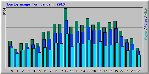 Hourly usage for January 2013
