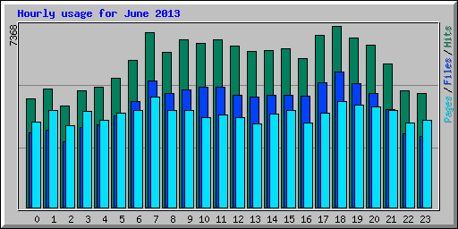 Hourly usage for June 2013