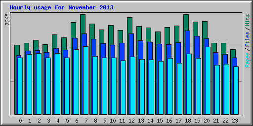 Hourly usage for November 2013