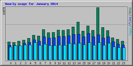 Hourly usage for January 2014