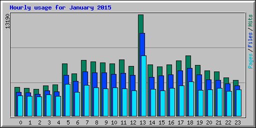 Hourly usage for January 2015