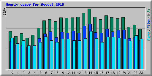Hourly usage for August 2016