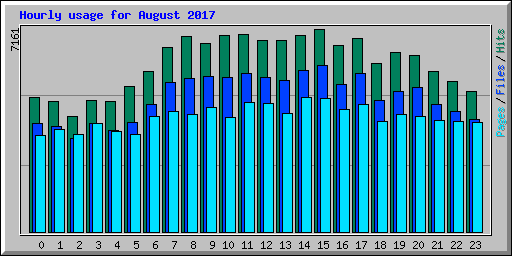 Hourly usage for August 2017